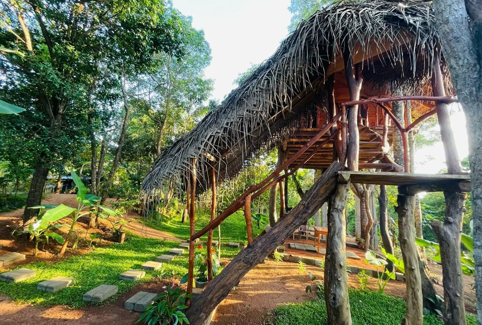 Green Land Tree House Sigiriya Lodge