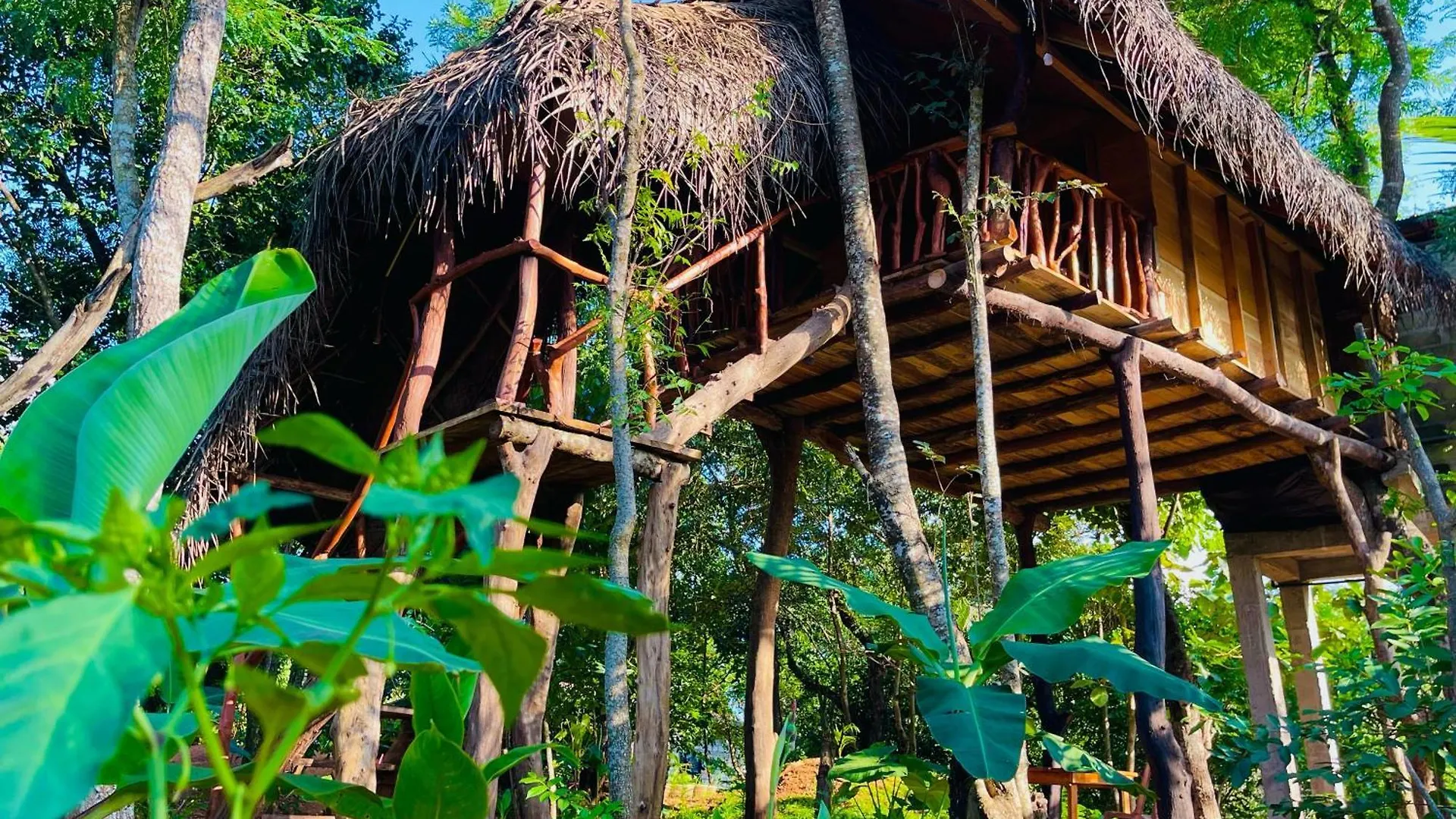 Green Land Tree House Sigiriya 0*,  Sri Lanka