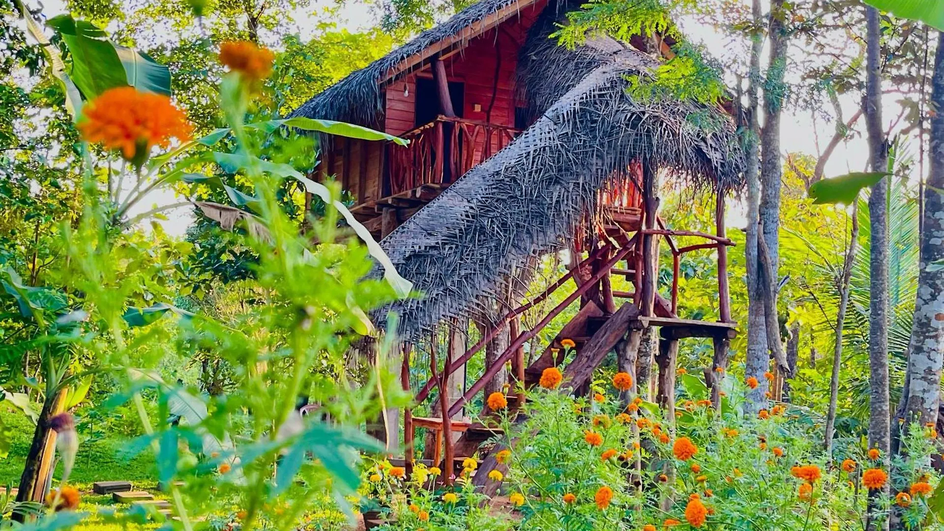 Green Land Tree House Sigiriya Sri Lanka