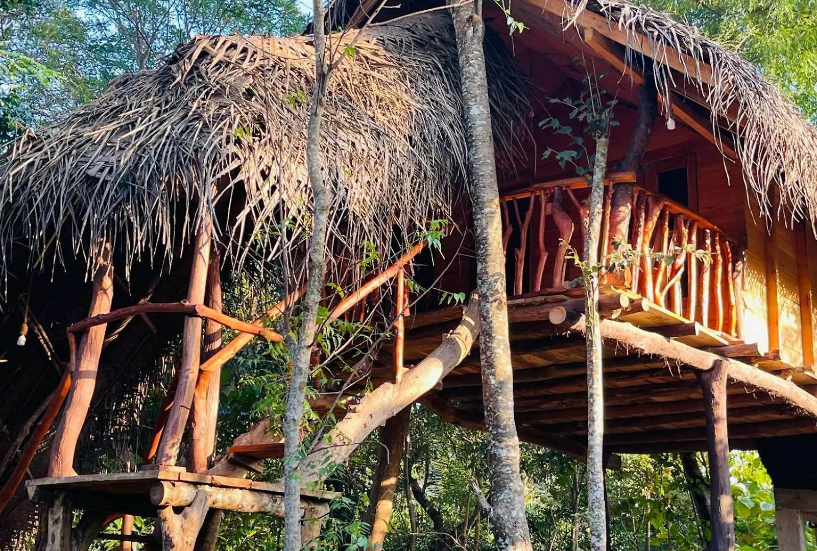 Green Land Tree House Sigiriya Lodge